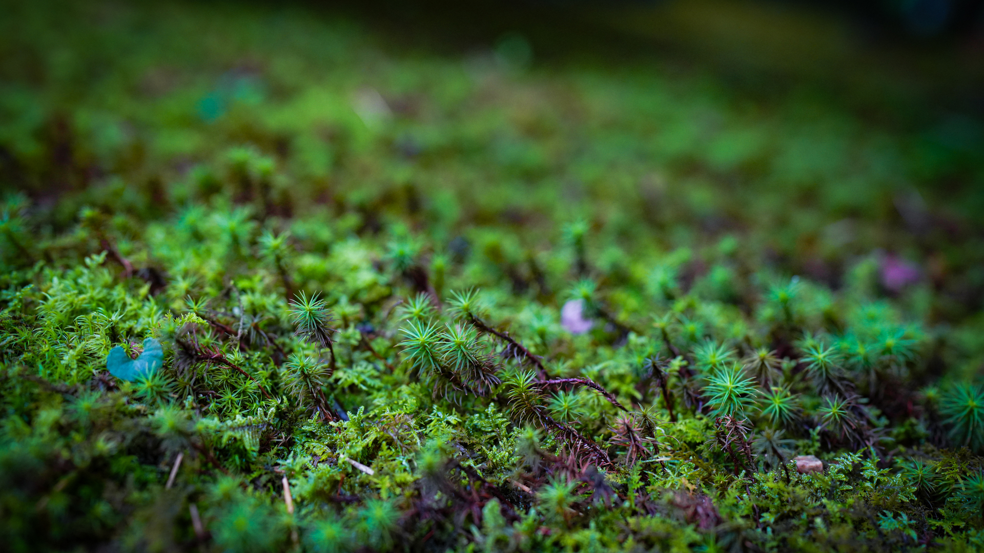 はじめまして。